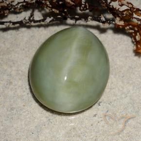 Olho de gato de actinolita verde quente Natural 6.52ct, oval, Translúcido