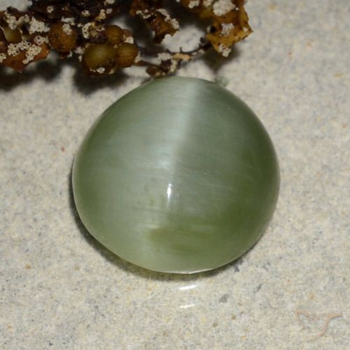 4.90ct Natural verde quente Olho de gato de actinolita, oval, Translúcido