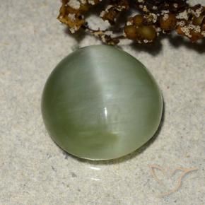 Olho de gato de actinolita verde quente Natural 4.90ct, oval, Translúcido