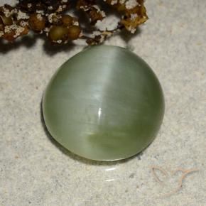 Olho de gato de actinolita verde quente Natural 4.90ct, oval, Translúcido