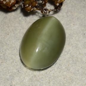 Actinolite cat's eye verde natural 4,69ct, corte oval, translúcido