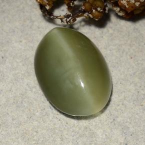 Actinolite cat's eye verde natural 4,69ct, corte oval, translúcido