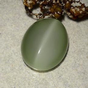 Olho de gato de actinolita Verde Terroso Natural 6.10ct, Corte Oval, Translúcido