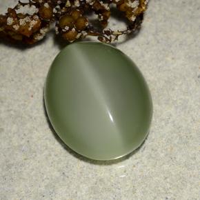 Olho de gato de actinolita Verde Terroso Natural 6.10ct, Corte Oval, Translúcido
