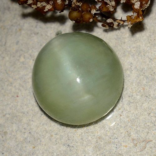 6.42ct Natural verde quente Olho de gato de actinolita, oval, Translúcido
