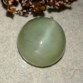 Olho de gato de actinolita verde quente Natural 6.42ct, oval, Translúcido