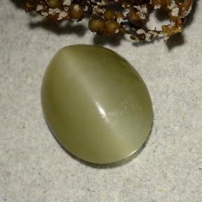 Actinolite cat's eye verde natural 4,55ct, corte oval, translúcido