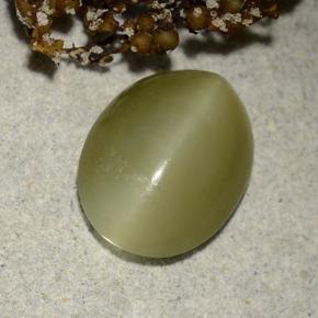 Actinolite cat's eye verde natural 4,55ct, corte oval, translúcido