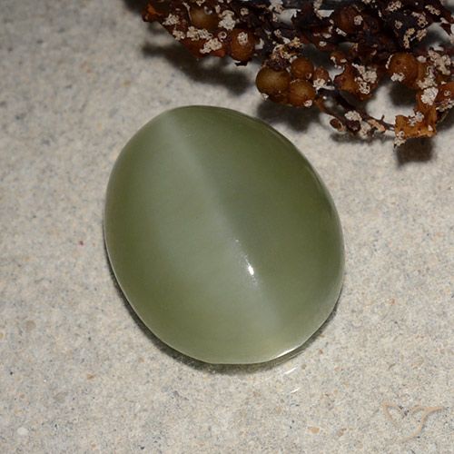6.21ct Natural Verde acinzentado Olho de gato de actinolita, oval, Translúcido