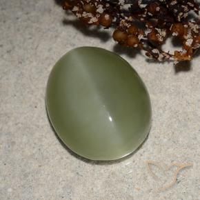 Olho de gato de actinolita Verde acinzentado Natural 6.21ct, oval, Translúcido