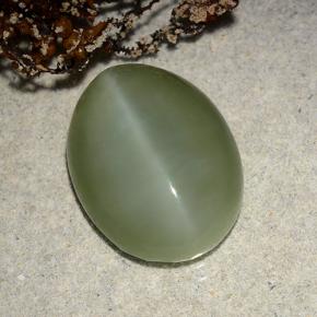 Actinolite cat's eye verde natural 8,86ct, corte oval, translúcido