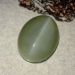 Actinolite cat's eye verde natural 8,86ct, corte oval, translúcido