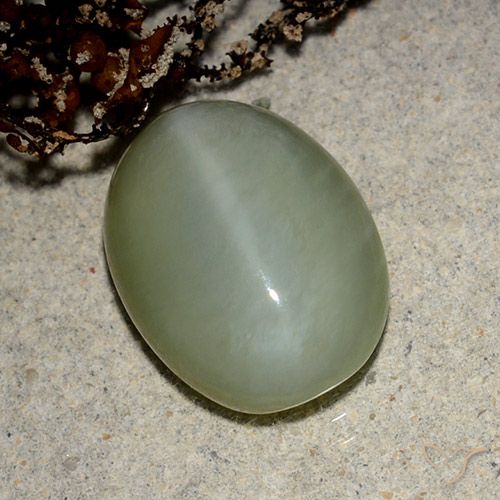 5.43ct Natural Verde acastanhado Olho de gato de actinolita, oval, Translúcido
