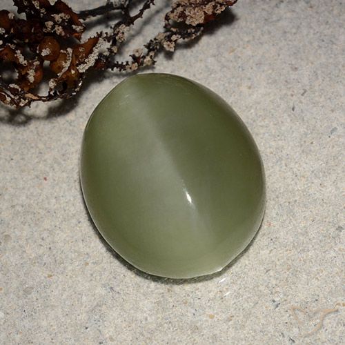 8.10ct Natural Verde acastanhado Olho de gato de actinolita, oval, Translúcido