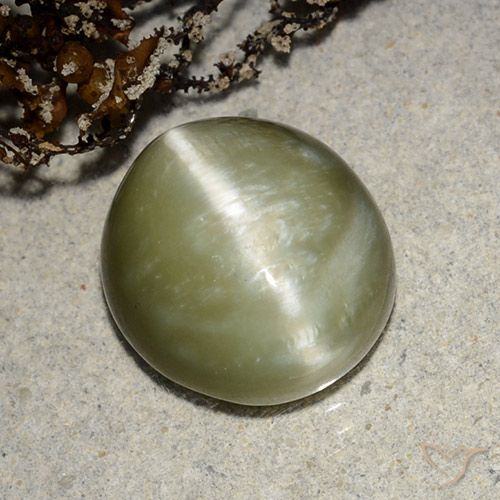 5.32ct Natural Verde amarelado Olho de gato de actinolita, oval, Translúcido