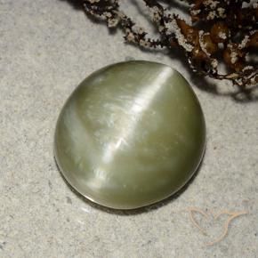 Olho de gato de actinolita Verde amarelado Natural 5.32ct, oval, Translúcido