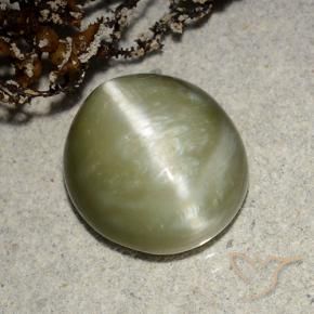 Olho de gato de actinolita Verde amarelado Natural 5.32ct, oval, Translúcido
