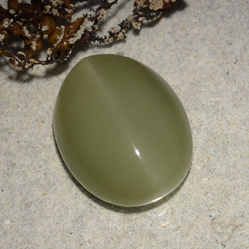 8.14ct Natural Verde amarelado Olho de gato de actinolita, oval, Translúcido