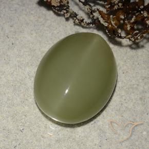 Olho de gato de actinolita Verde amarelado Natural 8.14ct, oval, Translúcido