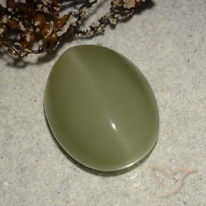 Olho de gato de actinolita Verde amarelado Natural 8.14ct, oval, Translúcido