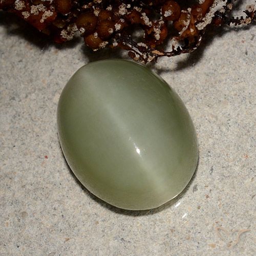 5.66ct Natural Verde Terroso Olho de gato de actinolita, oval, Translúcido