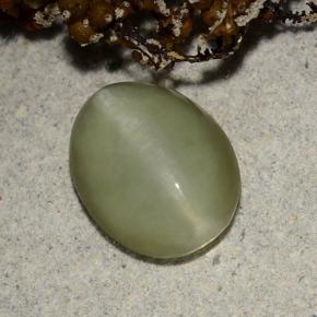 Actinolite cat's eye verde natural 2,40ct, corte oval, translúcido
