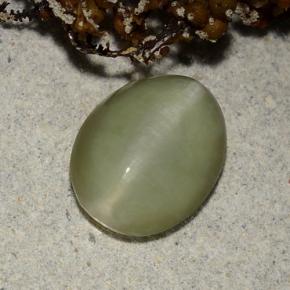 Actinolite cat's eye verde natural 2,40ct, corte oval, translúcido
