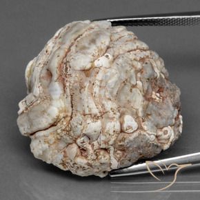Geodo de ágata Multicolorido Natural 41.53ct, Chique, Opaco