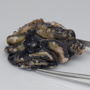 Geodo de ágata Multicolorido Natural 61.00ct, Forma extravagante, Opaco