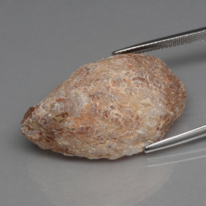 Geodo de ágata multicolorido natural 39,70ct, forma extravagante, opaco