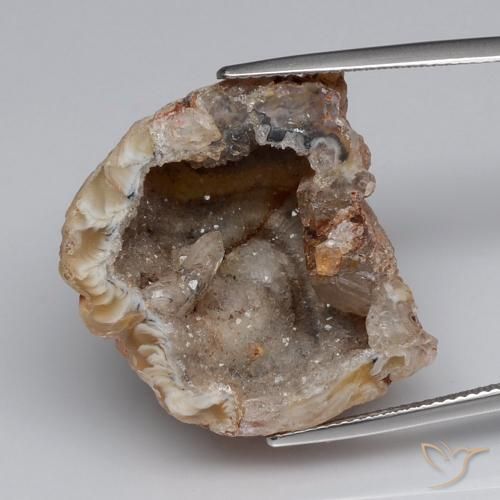 40.83ct Natural Multicolorido Geodo de ágata, Chique, Opaco