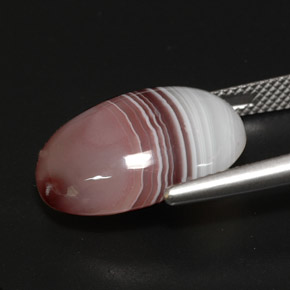 Ágata multicolorido natural 13,03ct, corte oval, opaco