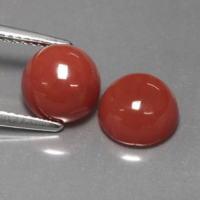 Pedras preciosas de Ágata Laranja natural de  ct, Corte Redondo, Opaco