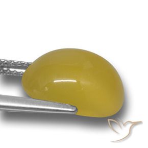 Ágata Amarelo escuro Natural 6.15ct, oval, Translúcido