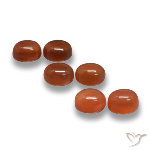 Pedras preciosas de Ágata Laranja Vermelho natural de 3.38 ct, Corte Oval, Translúcido