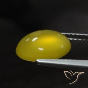 Ágata Amarelo escuro Natural 2.95ct, oval, Translúcido