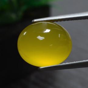 Ágata amarelo natural 5,51ct, corte oval, translúcido