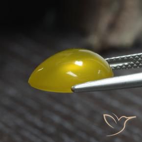 Ágata ouro amarelado Natural 4.80ct, Formato de pêra, Translúcido