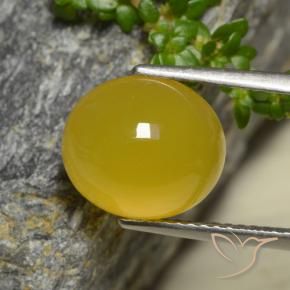 Ágata Amarelo escuro Natural 4.42ct, oval, Translúcido