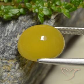Ágata Amarelo escuro Natural 4.42ct, oval, Translúcido