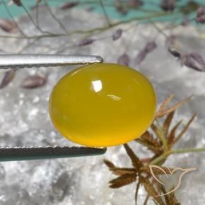Ágata Amarelo escuro Natural 4.02ct, oval, Translúcido