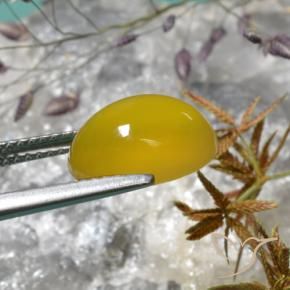 Ágata Amarelo escuro Natural 4.02ct, oval, Translúcido