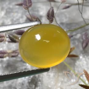 Ágata Amarelo escuro Natural 3.05ct, oval, Translúcido