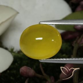 Ágata amarelo médio Natural 4.59ct, oval, Translúcido