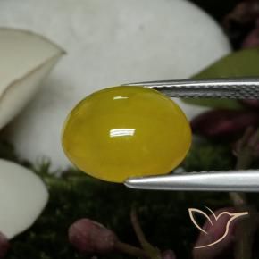 Ágata amarelo médio Natural 4.59ct, oval, Translúcido