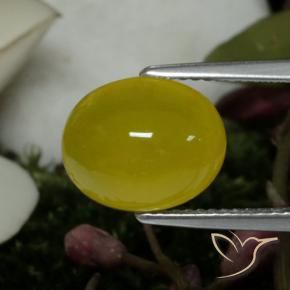 Ágata amarelo médio Natural 4.19ct, oval, Translúcido