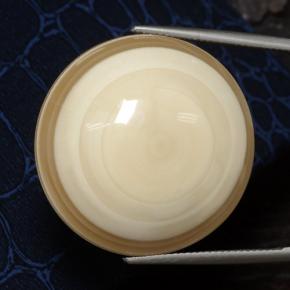 Ágata multicolorido natural 78,01ct, corte redondo, opaco