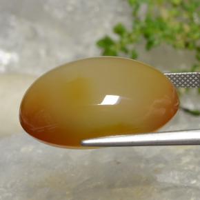 Ágata dourado natural 38,01ct, corte oval, translúcido
