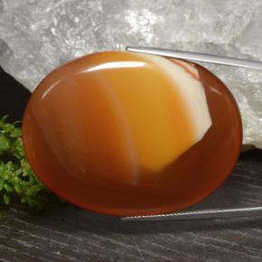 Ágata multicolorido natural 81,88ct, corte oval, translúcido