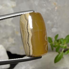 Ágata multicolorido natural 18,27ct, forma extravagante, translúcido